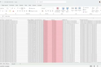 do data typing service n reconciliation within 3 days