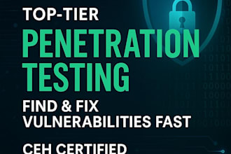 perform professional penetration testing on your website