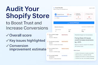 audit your shopify store to get more conversions