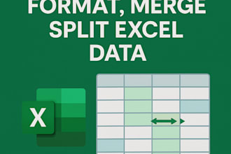 clean, format, merge, split excel data