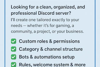 make professional custom discord server setup