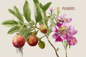 draw botanical illustration art for you