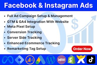 setup facebook ads and instagram ads campaign, dropshipping ads, tik tok ads