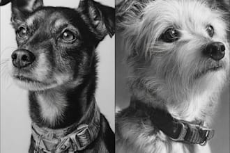 do realistic portraits or dog drawing for you