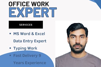 do ms word and excel data entry and english typing