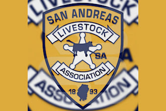 make a patch with embroidery for police, sheriff