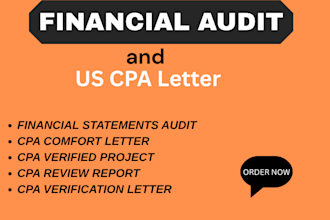 do financial statement, audit, analysis,finacial model