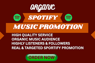 promote your spotify track,album,or artist profile for real growth