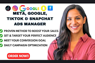 manage your ads on meta, google, tiktok, and snapchat