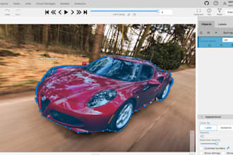 professionally annotate images, videos, and text for ai and ml projects