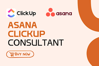 be you asana and clickup consultant, setup automated management boards
