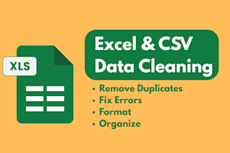 professionally perform data cleaning on excel or CSV file
