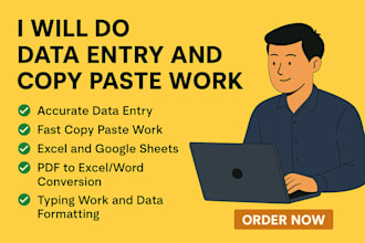 do data entry and copy paste work accurately and quickly