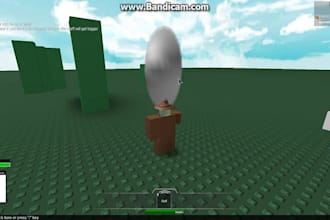 be a professional roblox scripter for your roblox game
