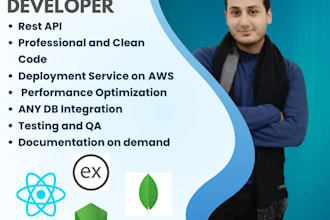 full stack mern web application, saas, or dashboard with secure backend