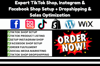setup optimize tiktok shop facebook shop instagram shop tiktok dropshipping