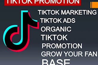 grow, manage instagram, x and tiktok promotion to gain organic tiktok followers