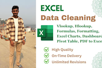 do professionally cleaning, data formatting, vlookup