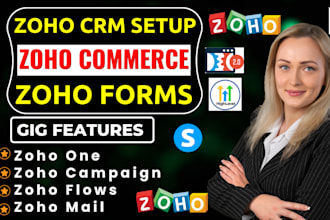 setup zoho sites, zoho crm, zoho books, zoho forms, zoho commerce zoho marketing