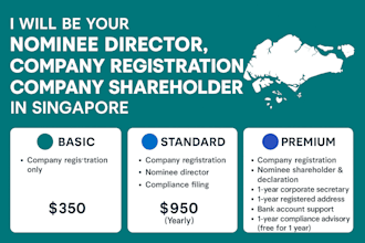 be your nominee director, company registration, company shareholder in singapore