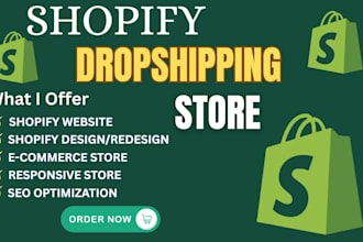 create a custom shopify dropshipping store or ecommerce website
