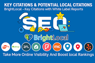 provide brightlocal SEO audit in 24 hours with an action plan