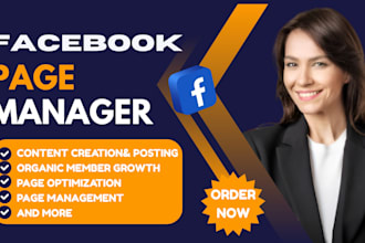 be your facebook page manager fb group moderator create content professionaly