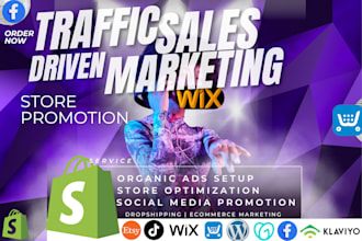 setup ads store promotion shopify wix  bigcartel ecwid etsy email marketing