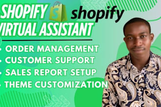 do advanced shopify SEO store management website design virtual assistant