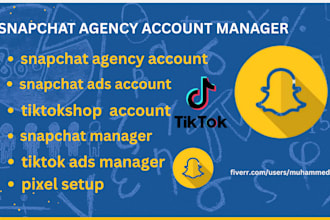snapchat show porta, snapchat ad, snapchat agency account, google ad, tiktok ad