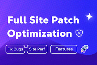fix website bugs, boost speed and performance fast