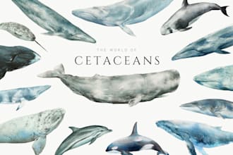 paint scientific watercolor illustrations of ocean animals
