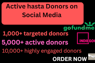 audit and optimize your crowdfunding campaign for more donations