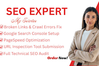 do technical seo, website audit, google search console and indexing