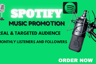 promote your spotify album reach real listeners through organic marketing