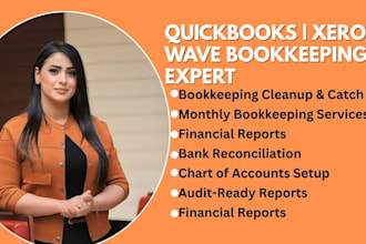 set up, clean up, and manage quickbooks, xero, or wave online bookkeeping