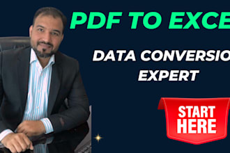 convert pdf to excel, google sheet or csv file in 24 hours