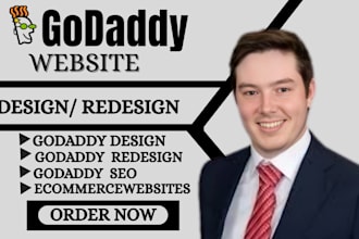 design a professional godaddy ecommerce or business website