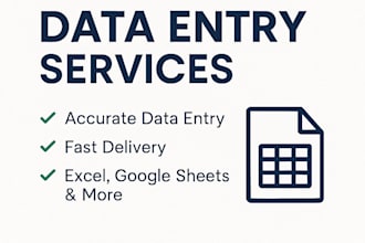 do accurate data entry, excel tasks, and data cleanup