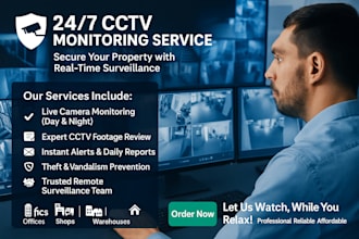 provide expert cctv monitoring and remote video surveillance