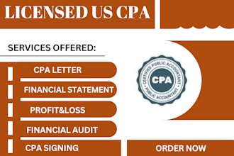 provide US CPA, audit financial statement, comfort letter, mortgage, tax return