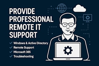 provide professional remote IT support and technical consultation