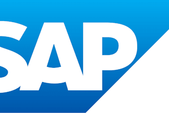 provide expert remote support for sap cx