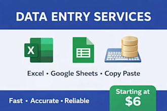fast and accurate data entry excel google sheet copypast