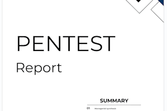 audit your web application, report all vulnerabilities and help you fix them