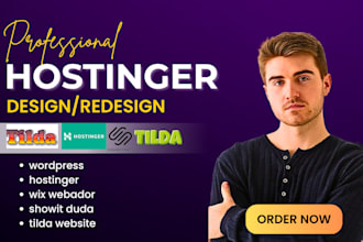 design wordpress hostinger wix webador showit duda tilda website development
