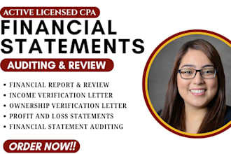 provide US CPA, audit financial statement, comfort letter, mortgage, tax return