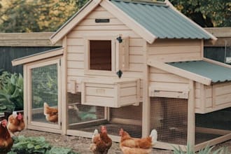 do home decor 2d, 3d,cad, sketchup woodworking plan , chicken  coops plan