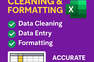 be your expertly handle excel data entry cleaning and formatting tasks