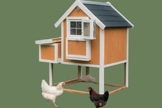 do 3d chicken coop furniture plans for DIY with cutlist in sketchup